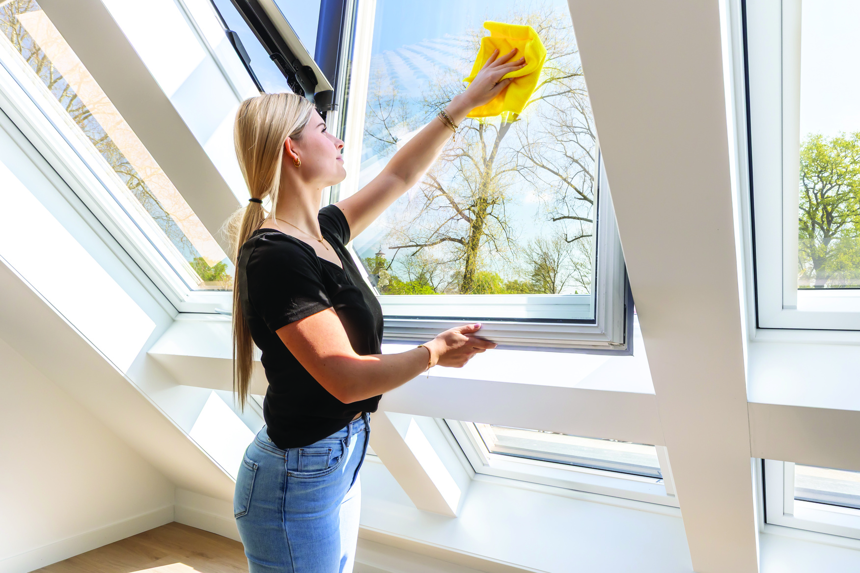 Fenster, Reinigen, Person, Innenarchitektur, Fensterbank, Fenster, Reinigen, Person, Innenarchitektur, Fensterbank, Fenster, Reinigen, Person, Innenarchitektur, Fensterbank, Fenster, Reinigen, Person, Innenarchitektur, Fensterbank